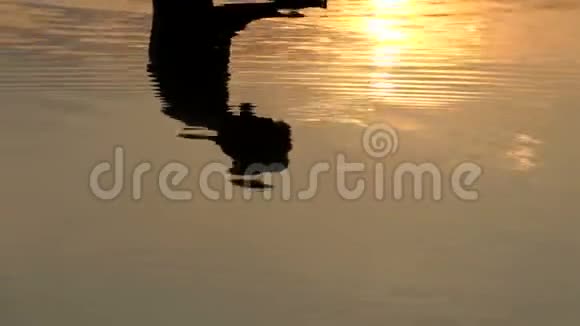 在夕阳西下的湖水中看到一个年轻人的倒影视频的预览图