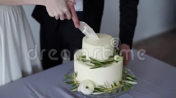 美丽的新娘和英俊的新郎正在切婚礼蛋糕视频的预览图