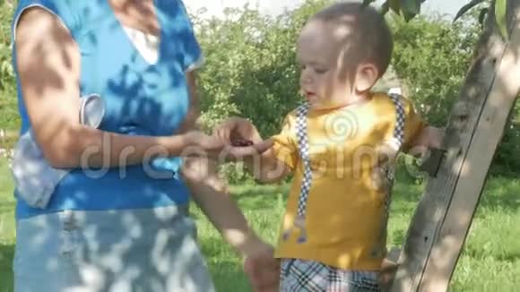 一个可爱的男孩和他的母亲在樱桃树附近一个女人拿出石头给她儿子浆果视频的预览图