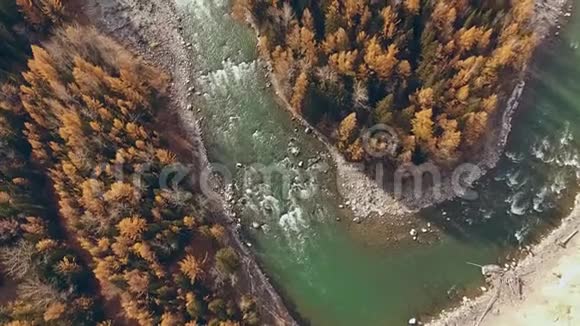 秋山景观一条河流有滚滚的河流空中视频的预览图