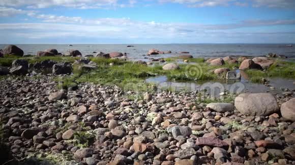 晴天芬兰海湾石质海岸全景视频的预览图