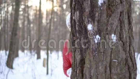 迷人的年轻女子在冬季公园玩雪球玩得开心微笑慢速视频视频的预览图