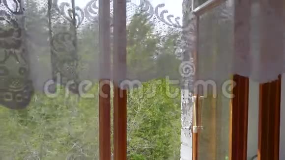 成群的绿树在摇曳从打开的木窗里看视频的预览图