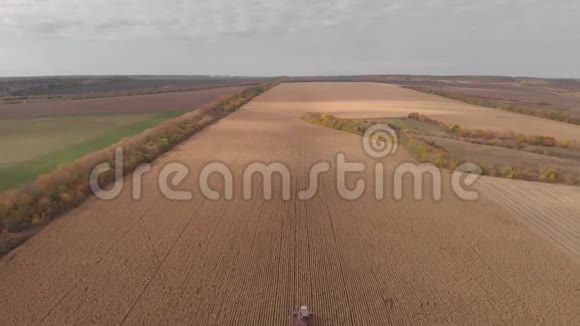 秋天天际线收获玉米空中拍摄视频的预览图