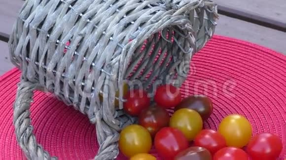 各种五颜六色的樱桃番茄视频的预览图