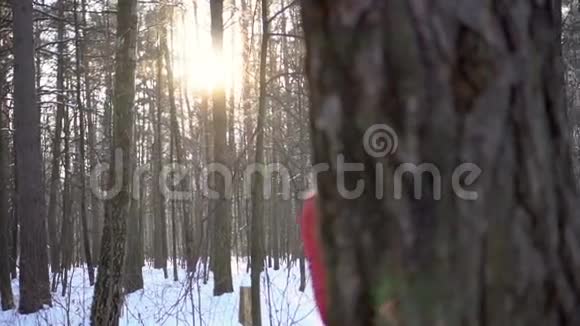 美丽的年轻女子在冬季公园躲在树后玩得开心微笑慢动作录像视频的预览图