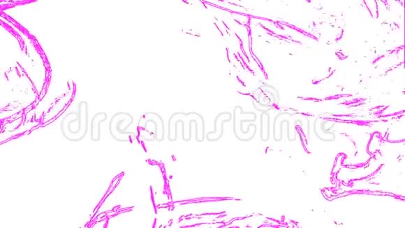 紫罗兰在白色的背景上波浪视频的预览图
