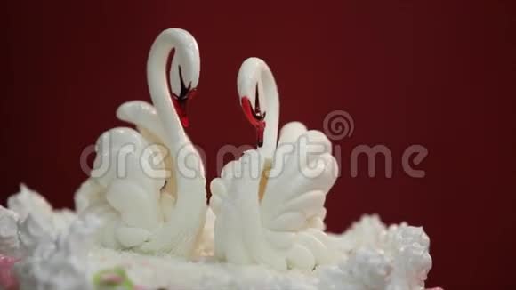 白色天鹅在婚礼蛋糕上视频的预览图