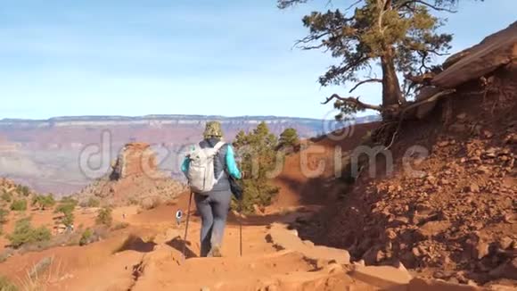 美国亚利桑那州大峡谷徒步旅行的女性视频的预览图