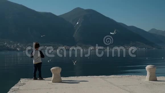 慢动作的小男孩站在码头上把石头扔进湖水里视频的预览图
