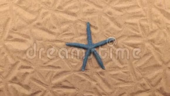 躺在沙滩上的蓝色海星旋转视频的预览图