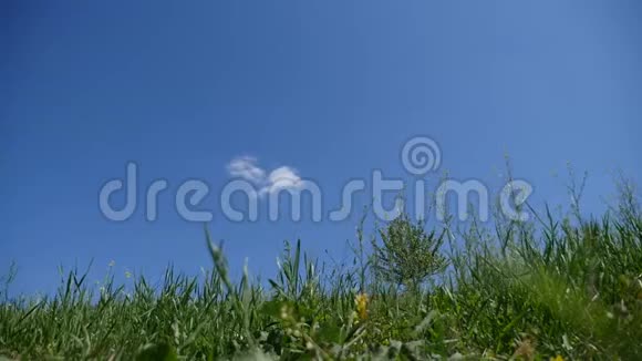 绿色草坪的一大片蓝天的流逝视频的预览图