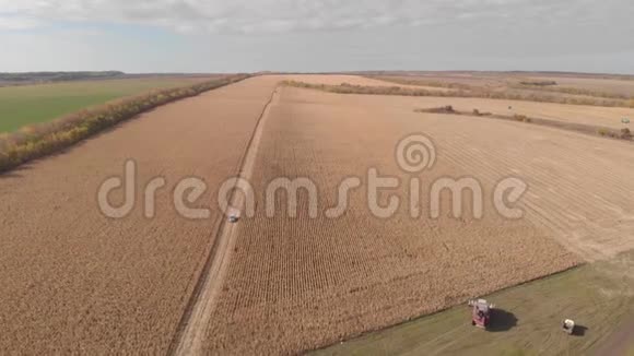 秋天天际线收获玉米空中拍摄视频的预览图