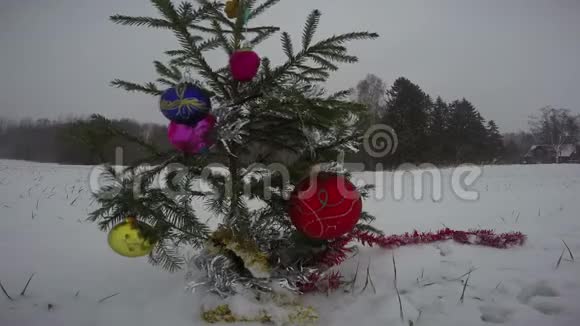 圣诞新年树冷杉在暴风雪中出现视频的预览图