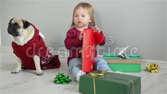 快乐的小女孩带着欢乐的微笑坐在地板上带着礼物和一只戴着家庭狗一起享受圣诞节视频的预览图