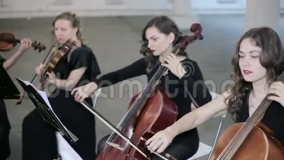 女孩在管弦乐队中演奏小提琴和小提琴视频的预览图
