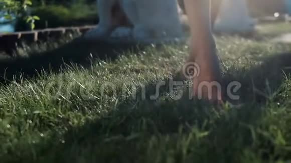 雌性的脚在绿草上行走视频的预览图