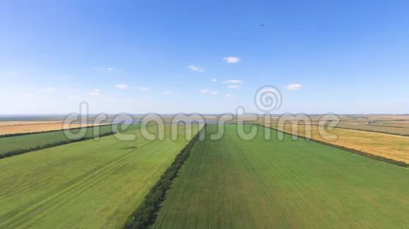 蓝天背景下的农田景观空中视频视频的预览图