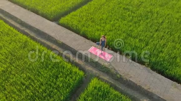 日落时分一位年轻女子在一个美丽的大稻田上练习瑜伽旅游亚洲概念视频的预览图