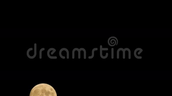 黑色天空中的月亮视频的预览图