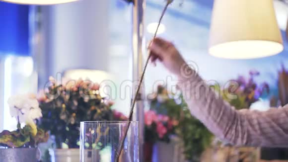 花匠把粉红色和白色的花放在花瓶里视频的预览图