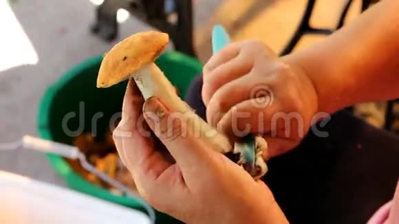 女人清洗蘑菇视频的预览图