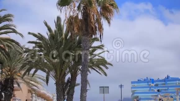 西班牙贾丁热带金丝雀豪华酒店视频的预览图