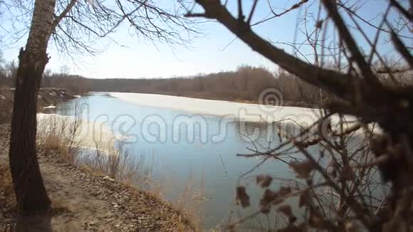 春天河面上的冰融化了树枝在河面上视频的预览图