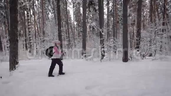 在森林中行走的带背包的北欧妇女的侧视图退休女士拿着滑雪杆快步走视频的预览图
