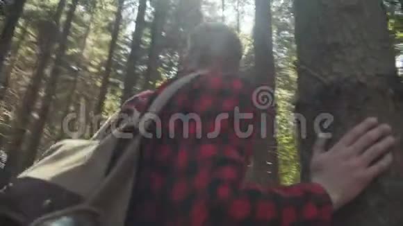 阳光明媚的一天年轻夫妇在树林里散步视频的预览图