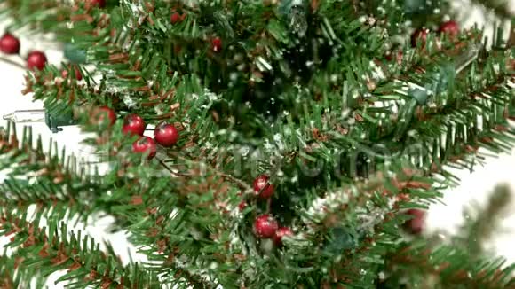 雪花轻轻地落在圣诞树上视频的预览图