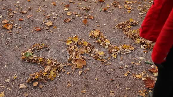 秋天出售的碑文是从树的落叶上铺下来的订阅视频的预览图