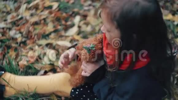可爱的小女孩玩她的泰迪熊拥抱并把它抱在她坐在草地上的秋天公园4k视频的预览图