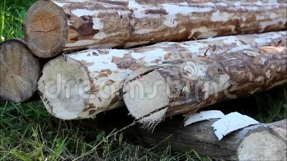 组装木架搭建房屋俄罗斯用于在木屋中建造地板的几种金属固定装置视频的预览图