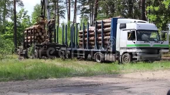 砍伐森林和自动装载卡车车辆视频的预览图