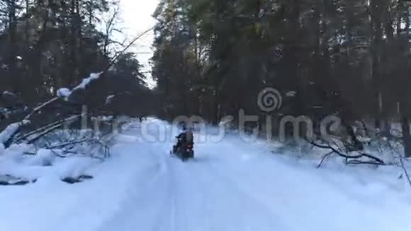 一对在树林里坐雪车的夫妇冬季运动和娱乐视频的预览图