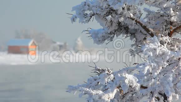 雪河里的树枝在后台视频的预览图