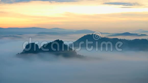 30fps延时春天雾蒙蒙的早晨森林景观四处看看雄伟的山峰划破了灯光的薄雾深谷视频的预览图