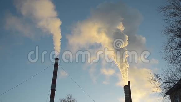 来自工厂烟囱的烟雾垂直向上上升蓝天能源和空气污染无风天气视频的预览图