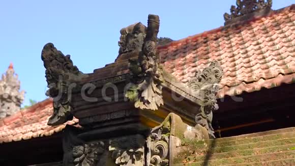 在一片用石雕覆盖的猴子森林里一座寺庙的墙壁和雕像被拍摄下来视频的预览图