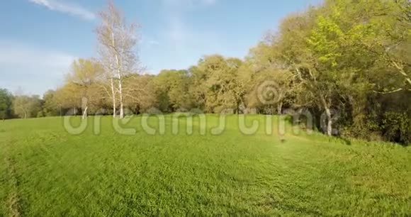 蓝天白云的草地向树移动视频的预览图