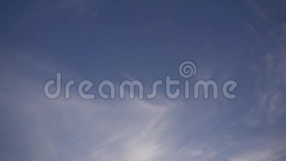 蓝天中的单鸟慢动作视频的预览图