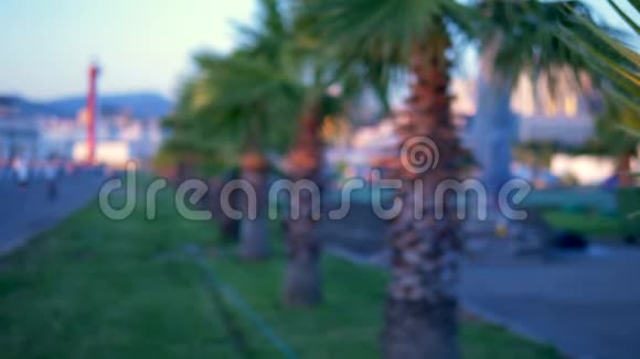 棕榈叶特写现代都市背景背景中的bokeh视频的预览图