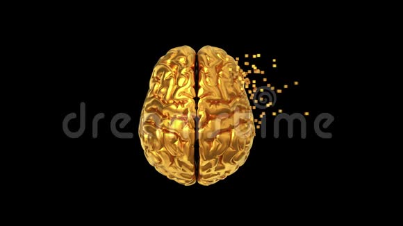 4K黑背景下黄金大脑与阿尔法Matte的分裂视频的预览图