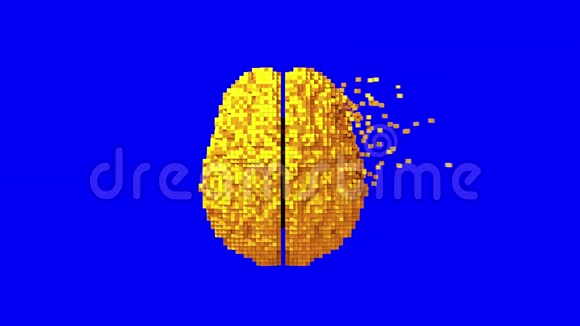 蓝色背景下黄金数字大脑的解体视频的预览图