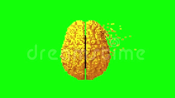 4K黄金数字大脑的解体绿色屏幕视频的预览图