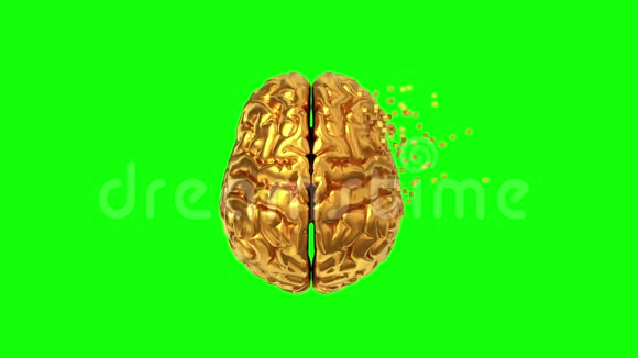 4K绿色屏幕上金色大脑的分裂视频的预览图