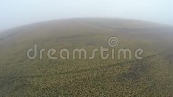 清晨清晨雾蒙蒙的庄稼地里一个个人飞得很高视频的预览图
