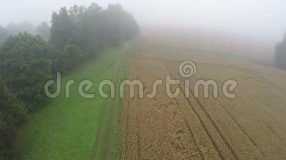 在夏天飞行的无人机结束了清晨雾蒙蒙的田野和树木视频的预览图