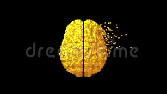 4K黑色背景下黄金数字大脑与阿尔法Matte的分裂视频的预览图